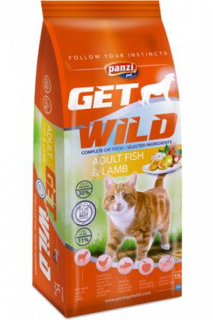Get Wild cat adult